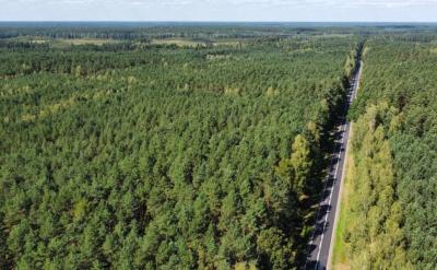 droga trasa autostrada