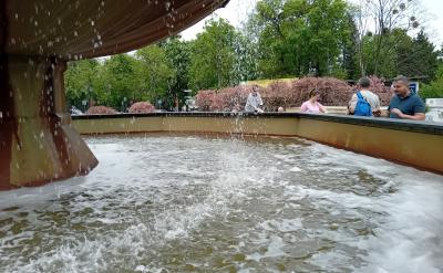Majówka w Ciechocinku 2025