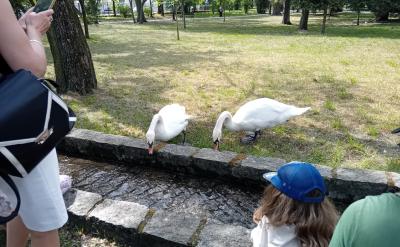 Majówka w Ciechocinku 2025