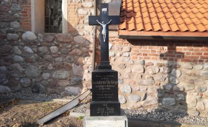 Płużnica