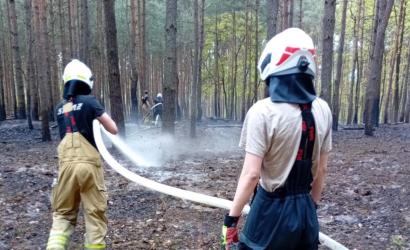 Od początku roku wybuchło w Polsce 4 razy więcej pożarów lasu niż rok temu. Jak to wygląda w województwie Kujawsko-pomorskim?