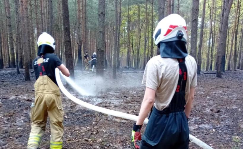 Od początku roku wybuchło w Polsce 4 razy więcej pożarów lasu niż rok temu. Jak to wygląda w województwie Kujawsko-pomorskim?