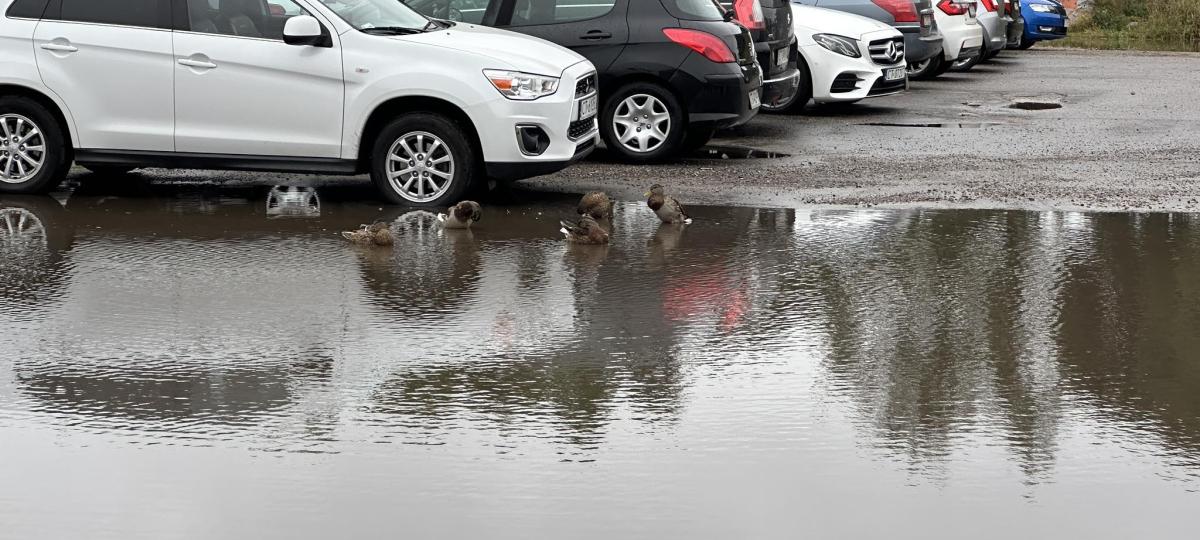 Parking przy Urzędzie Marszałkowskim w Toruniu