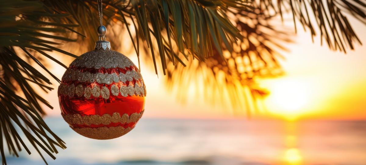 Święta Bożego Narodzenia pod palmą