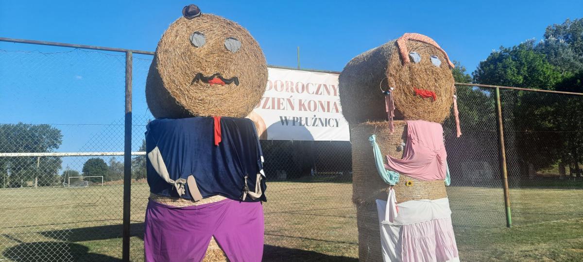 Gminne dożynki w Płużnicy