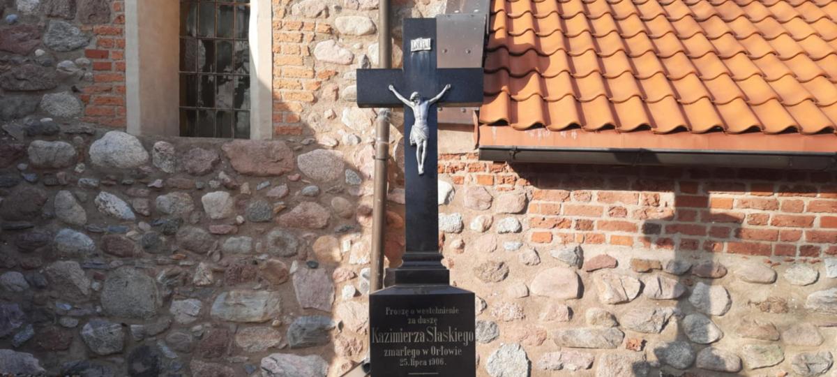 Płużnica