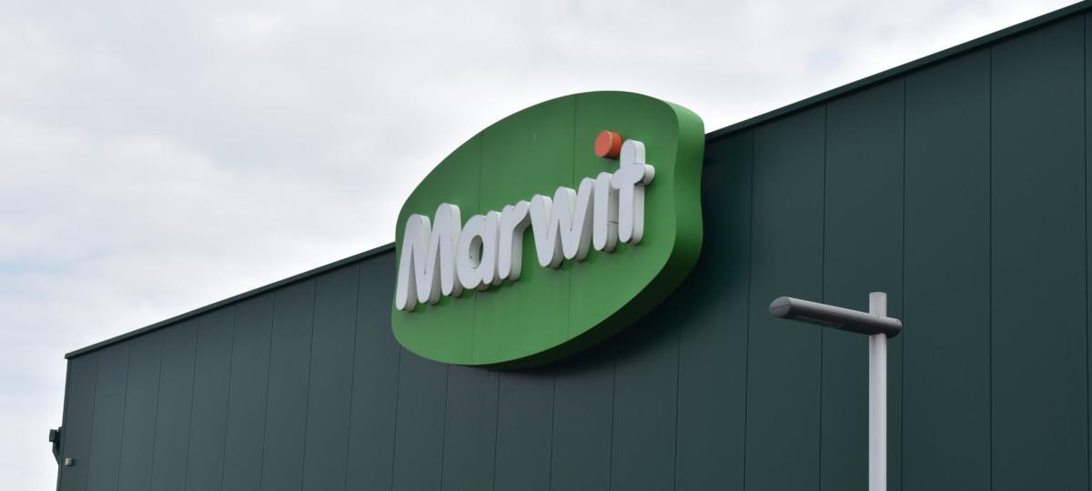 marwit 