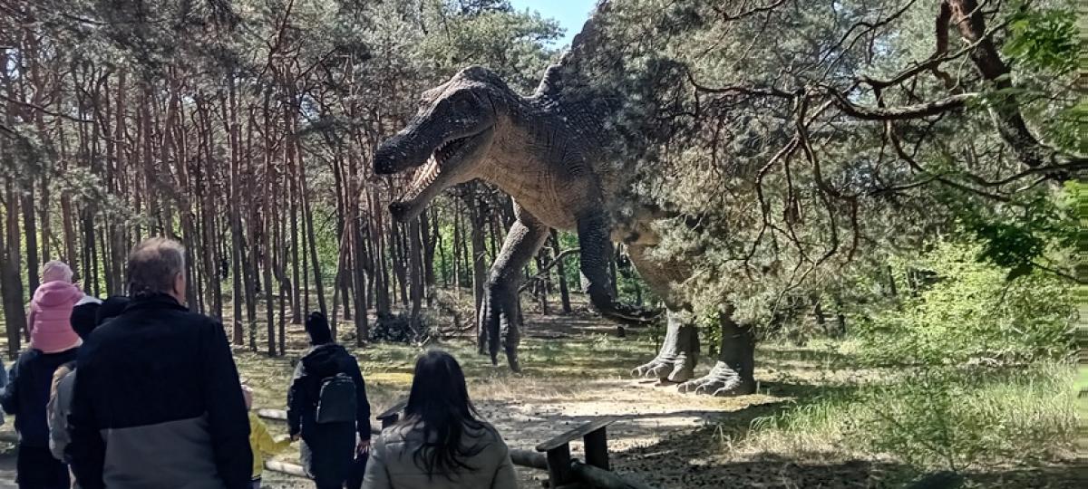 Eskapada JuraPark Solec Kujawski