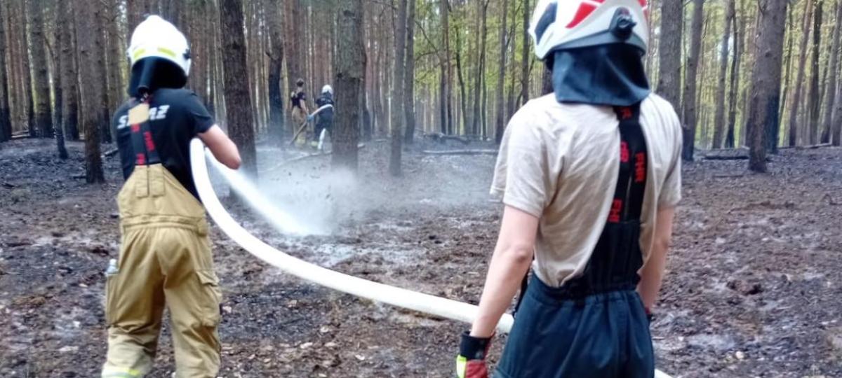 Od początku roku wybuchło w Polsce 4 razy więcej pożarów lasu niż rok temu. Jak to wygląda w województwie Kujawsko-pomorskim?