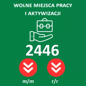 Wolne miejsca pracy i miejsca aktywizacji zawodowej